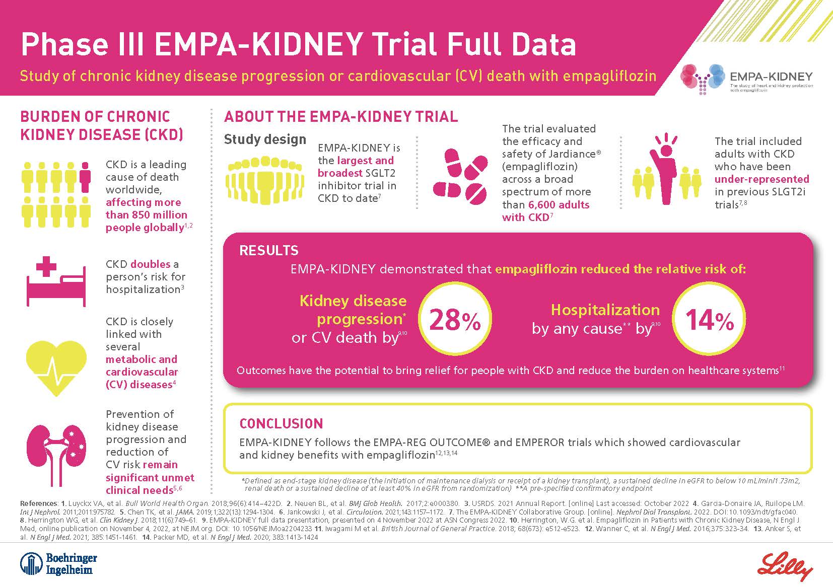 full-data-chronic-kidney-disease-trial-efficacy-boehringer-ingelheim